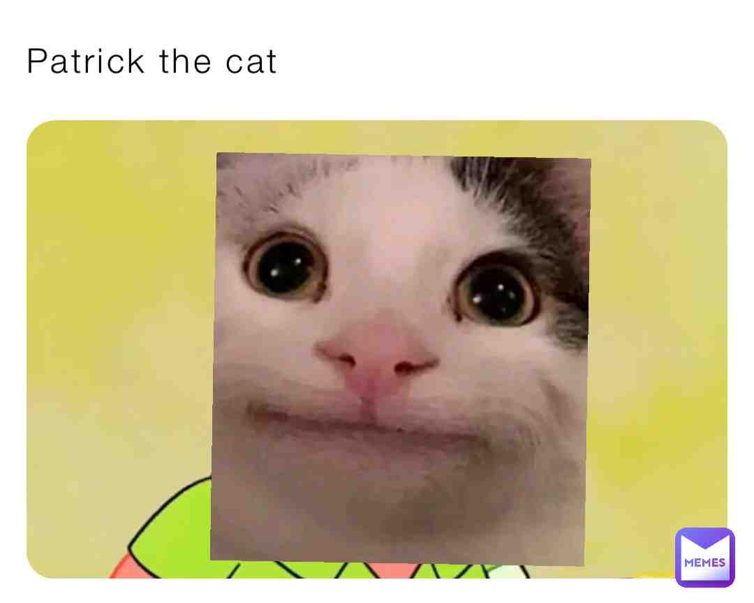 Meme shared by @CAT_BOSS