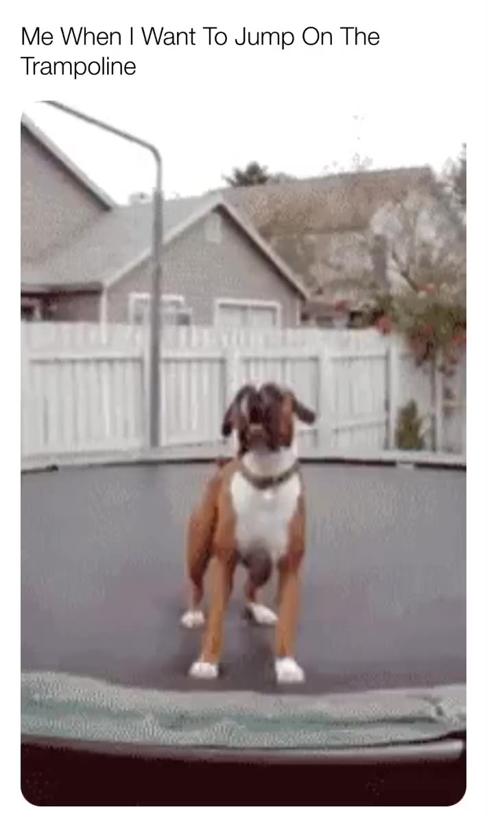 #trampolines  #trampoline  #lolmemes