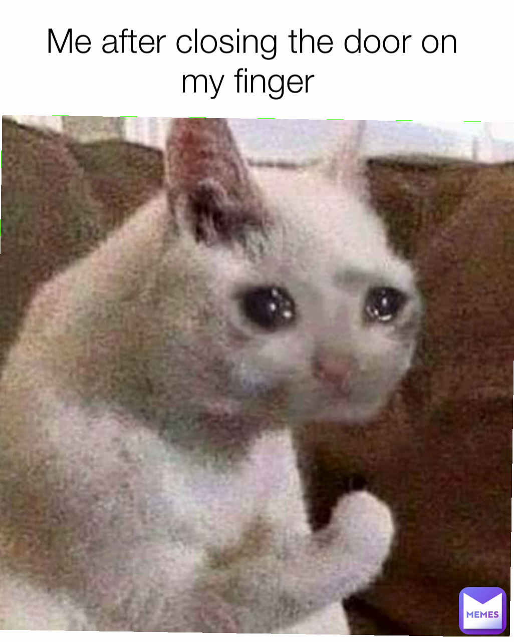 Me after closing the door on my finger 