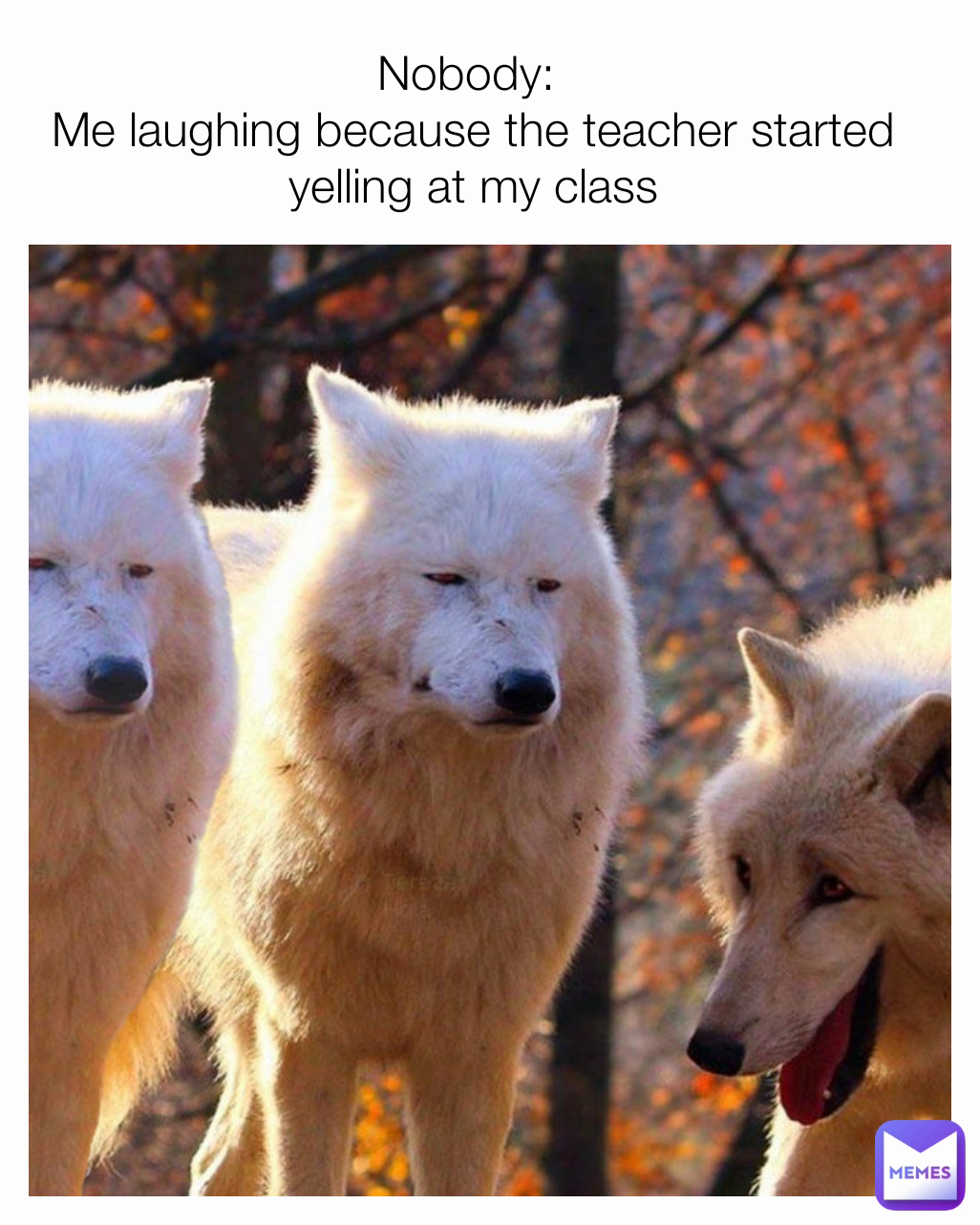Nobody: 
Me laughing because the teacher started yelling at my class