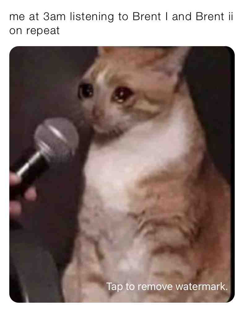 Meme preview