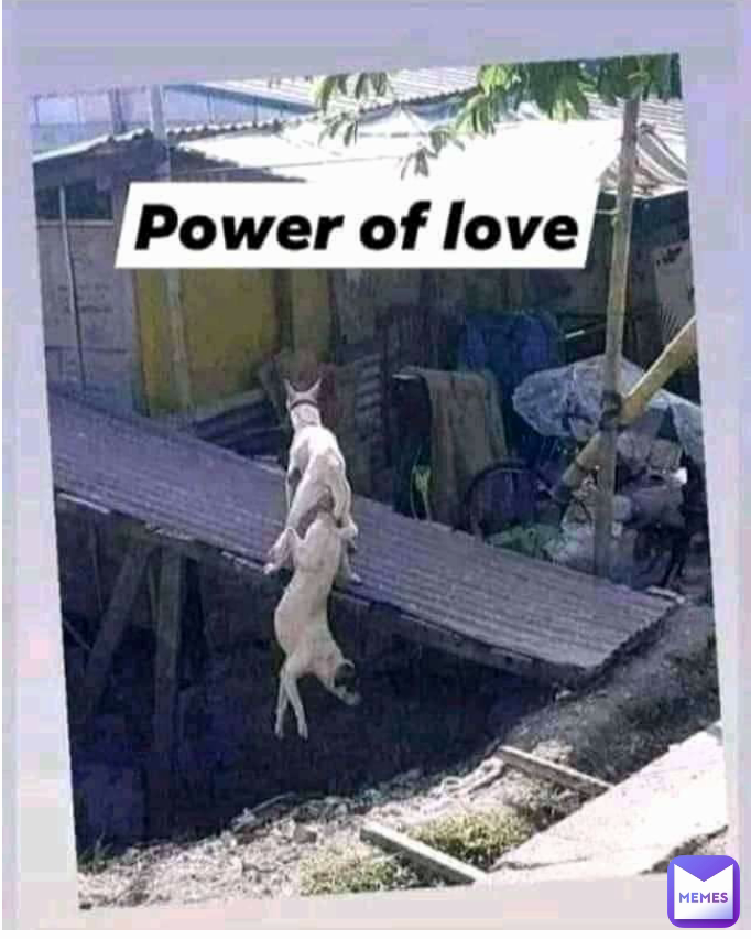 Meme by Chandu_memes