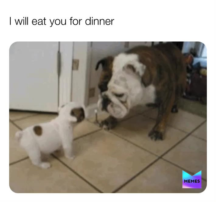 Meme shared by @mblewett