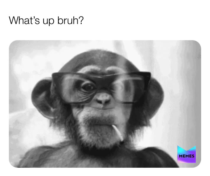 #monkey  #smoke  #bruh