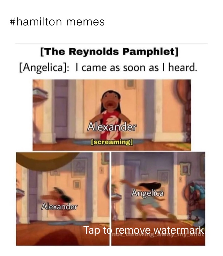 #hamilton memes