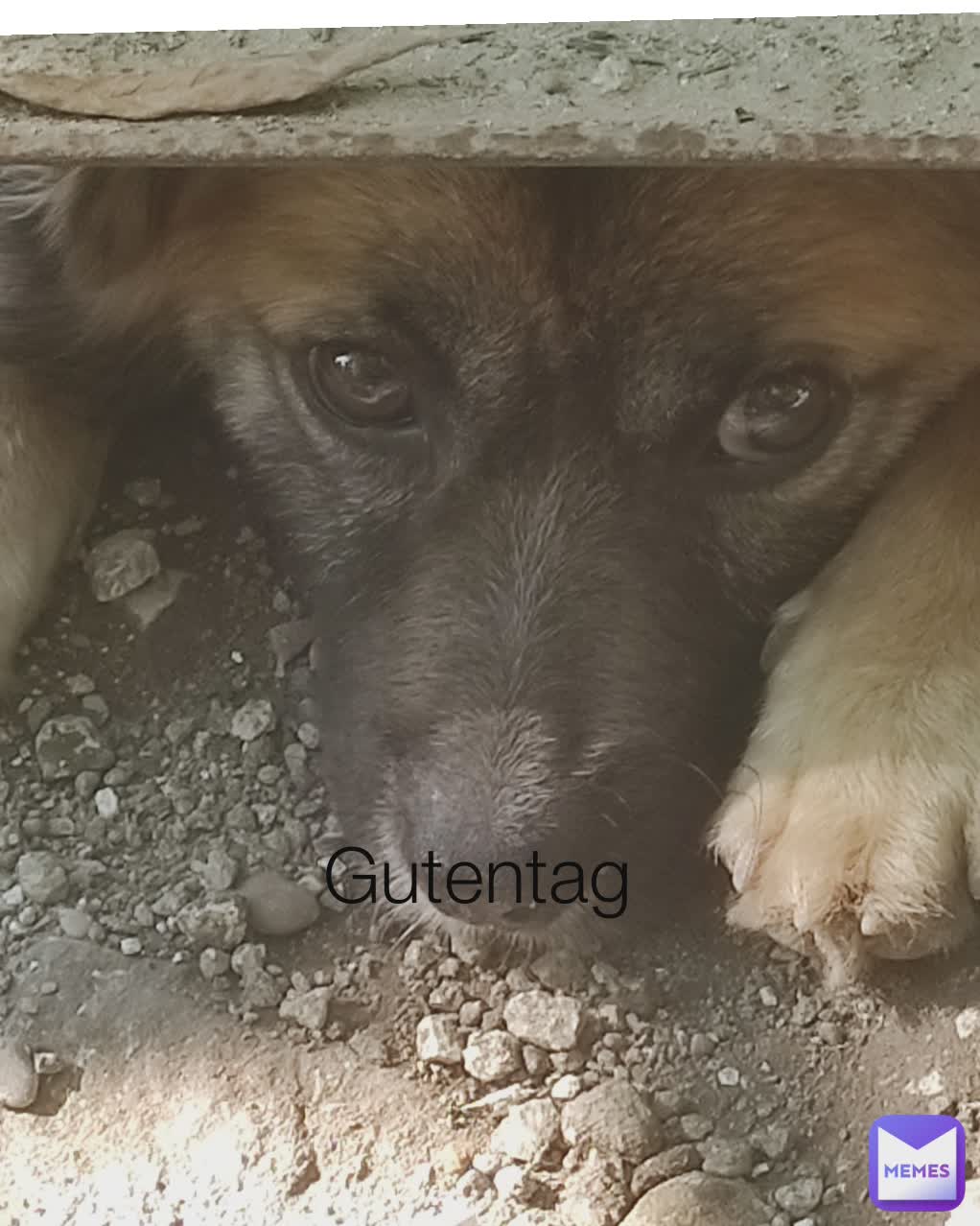 Gutentag