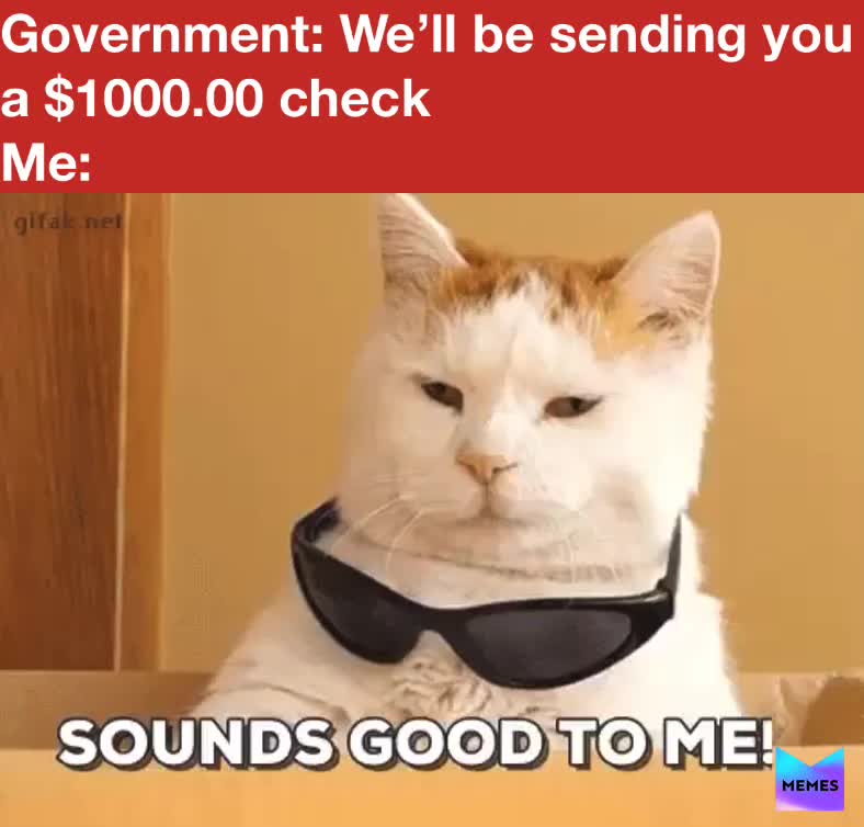 Me waiting on that government check lol   #government  #money  #excited  #funny  #funnymemes
