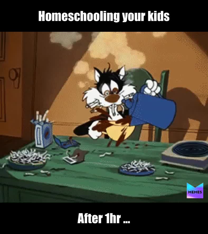 Parents trying to Homeschool their kids  #kids  #parents  #funny  #funnymemes  #funny  #homeschool
