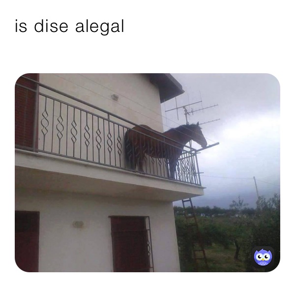 Meme by Da_fire_chicken