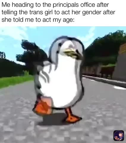 Meme shared by @Emaru