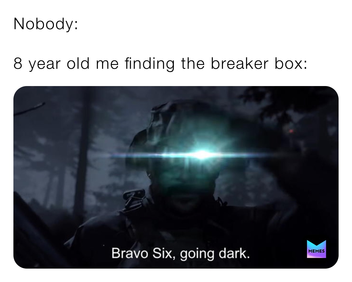 Nobody:

8 year old me finding the breaker box: