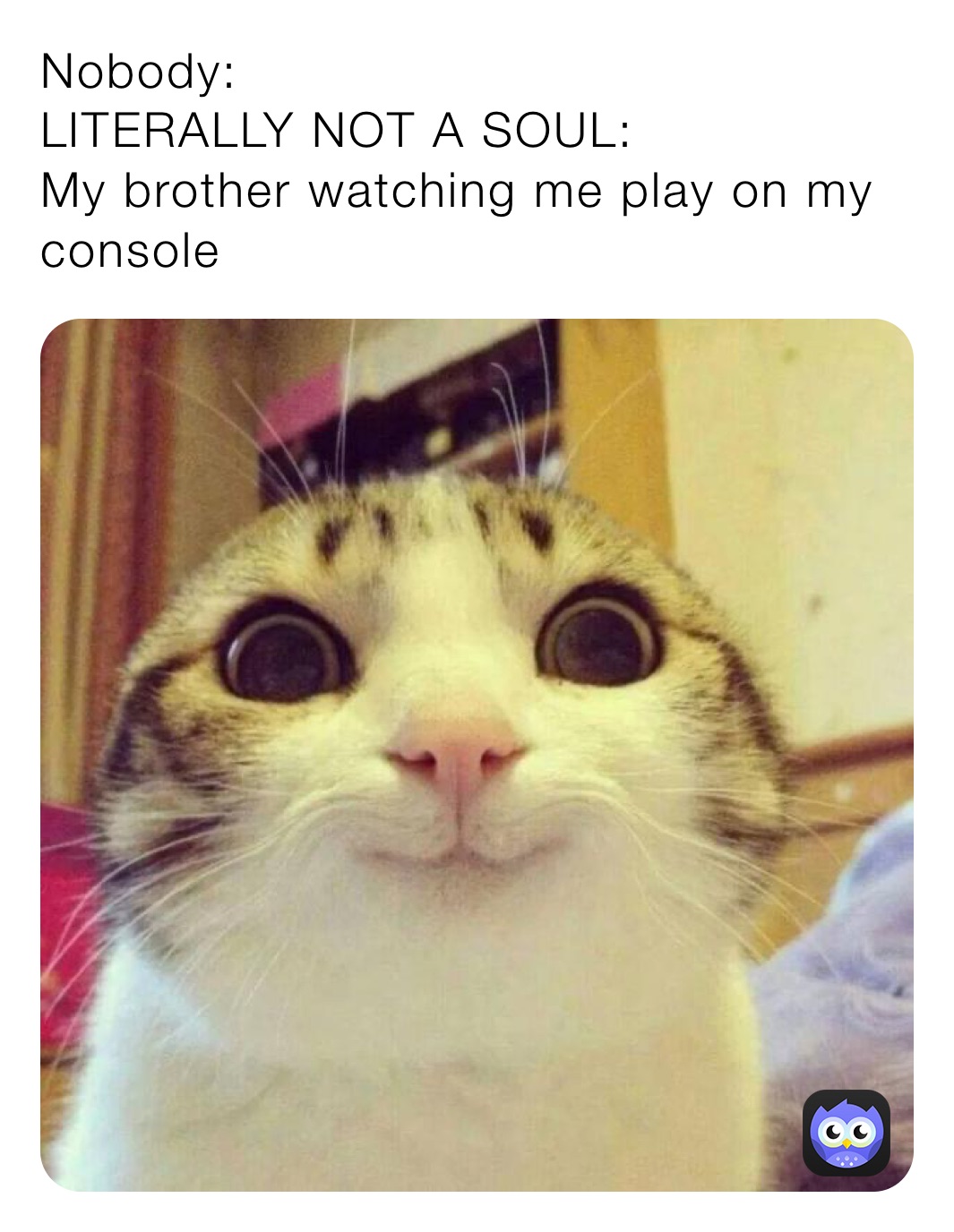 Nobody:
LITERALLY NOT A SOUL:
My brother watching me play on my console