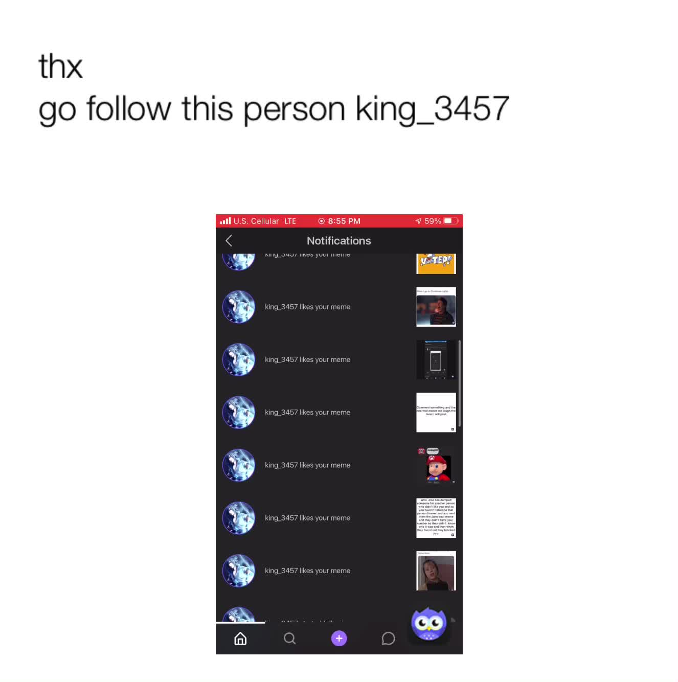 Meme shared by @Kermitthefrogg