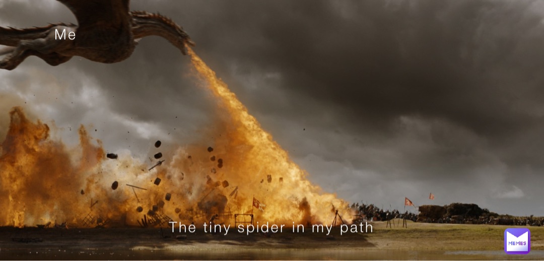 Me The tiny spider in my path