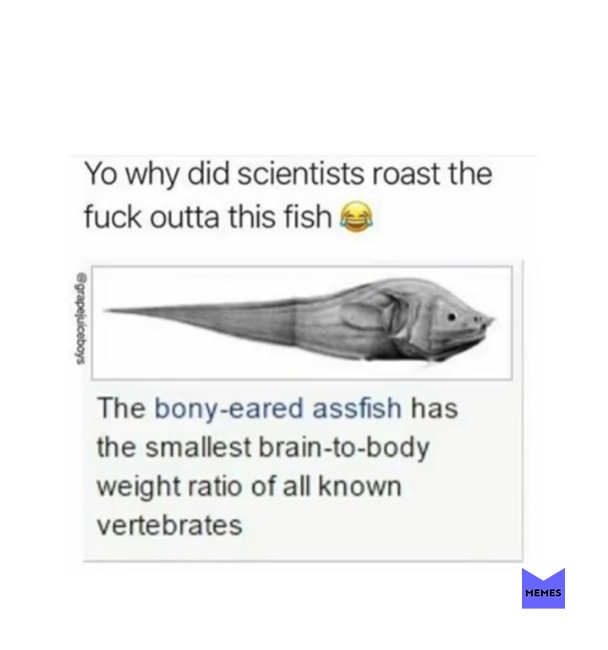 Meme by trisha_dhakal