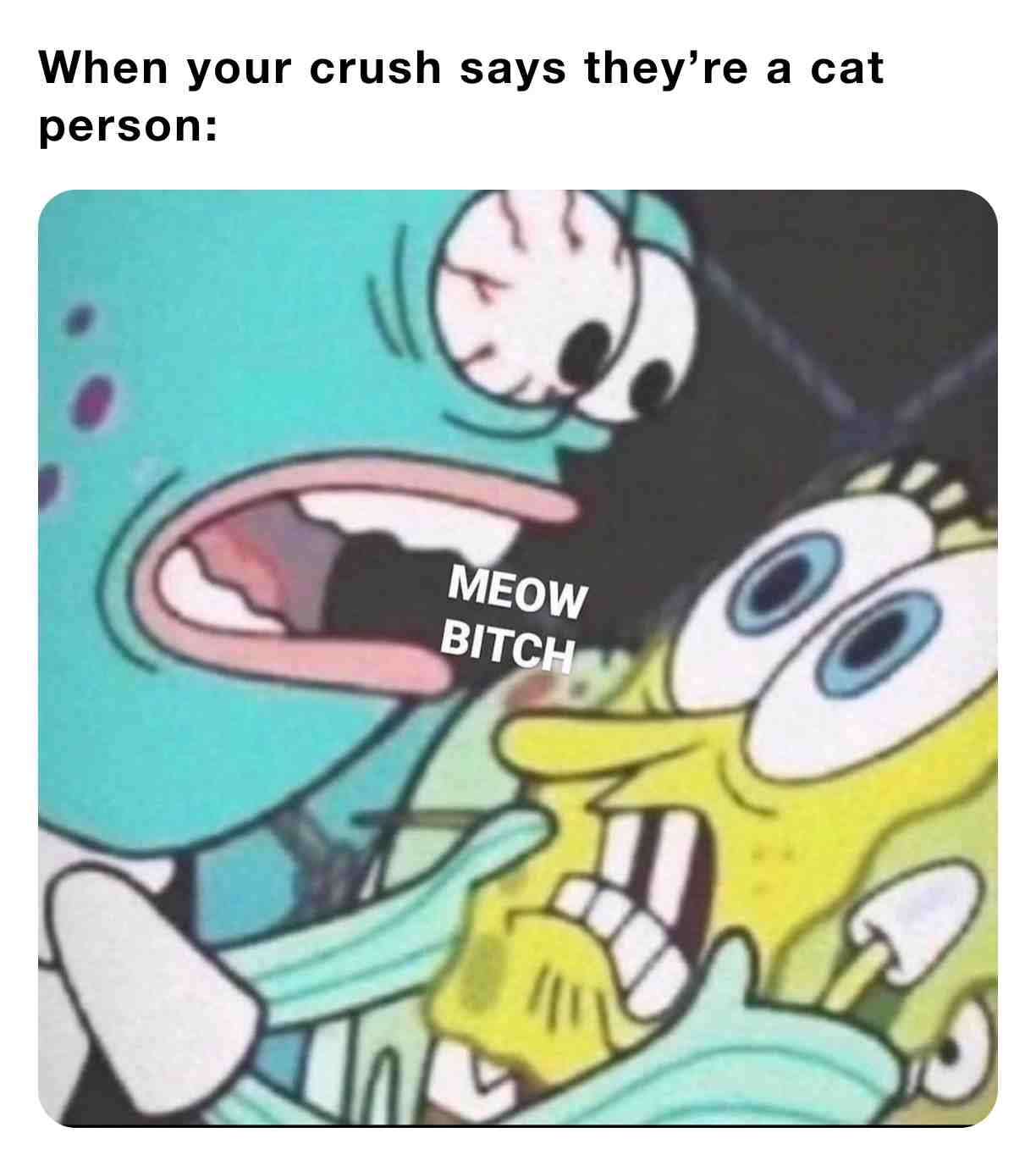 #laughs #lmao #memes #crush #viral