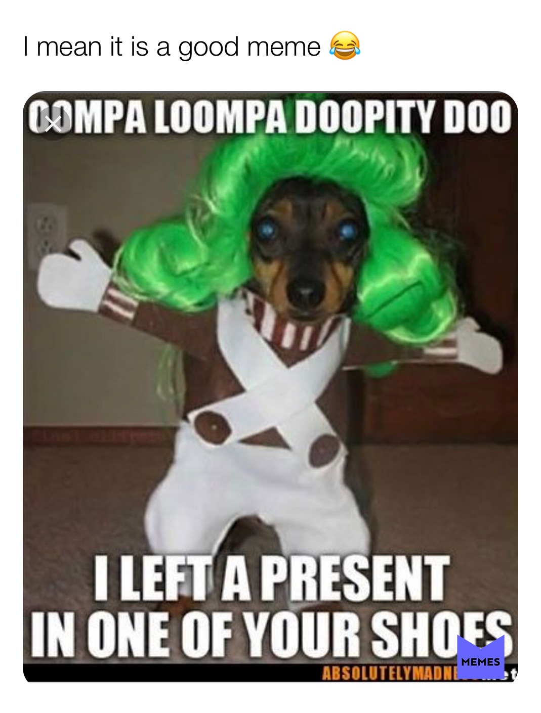 Meme by memes4___lifex