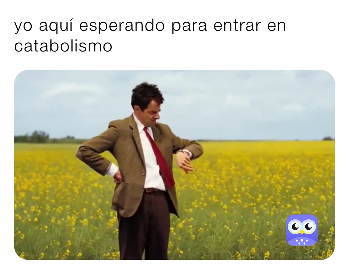 yo aquí esperando para entrar en catabolismo 