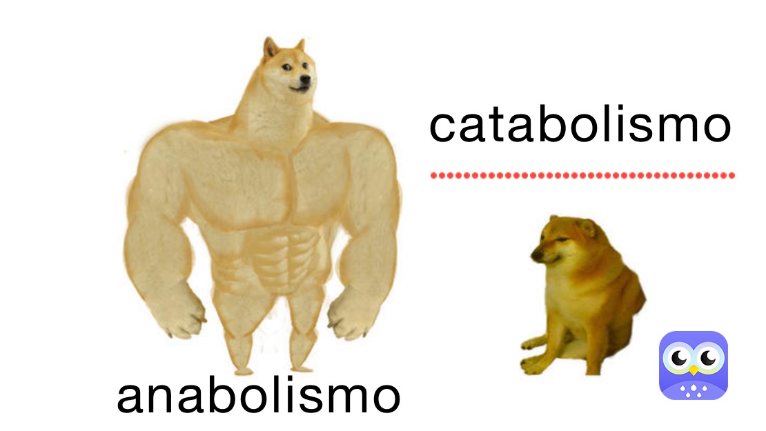 Meme by Jenny_Teran_25