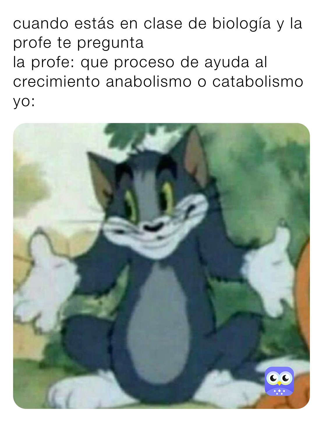 cuando estás en clase de biología y la profe te pregunta 
la profe: que proceso de ayuda al crecimiento anabolismo o catabolismo 
yo: