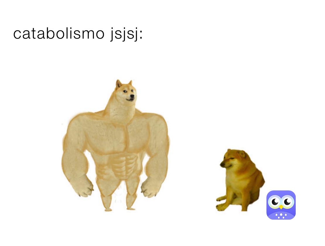 catabolismo jsjsj: