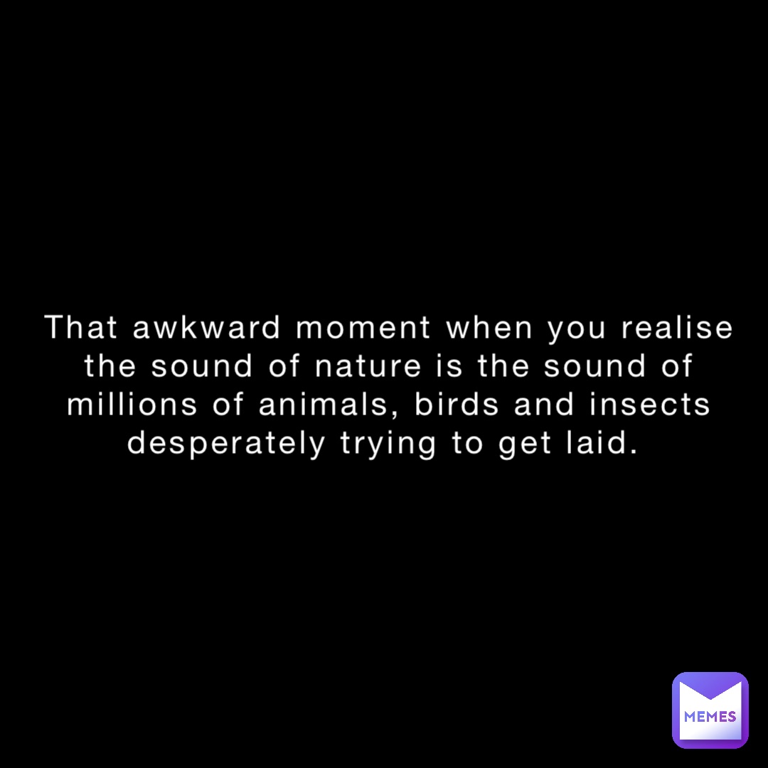 That awkward moment when you realise the sound of nature is the sound of millions of animals, birds and insects desperately trying to get laid.