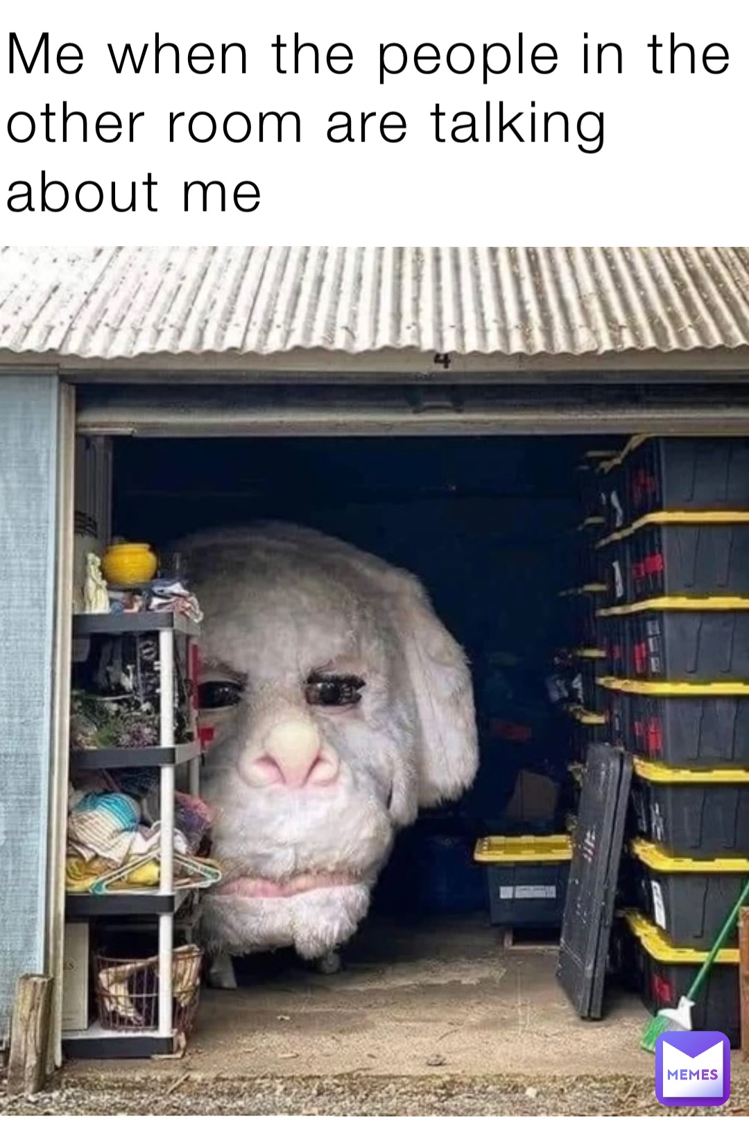 Me when the people in the other room are talking about me
