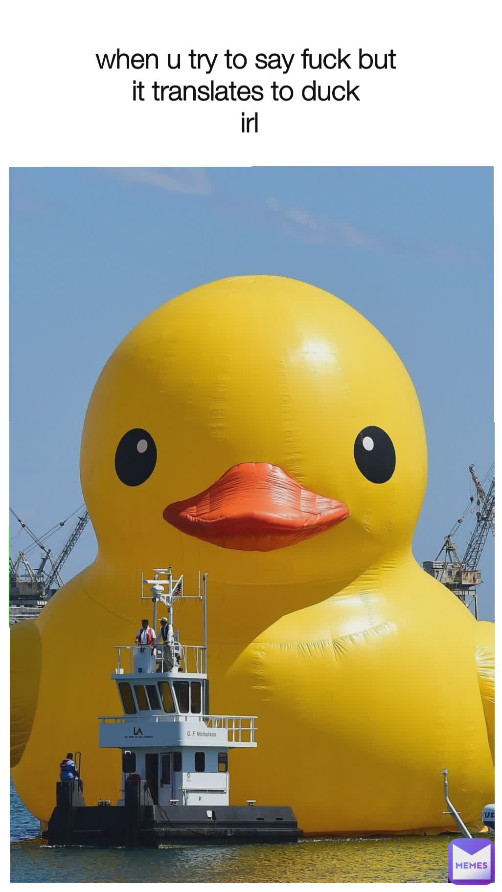 when u try to say fuck but 
it translates to duck 
irl