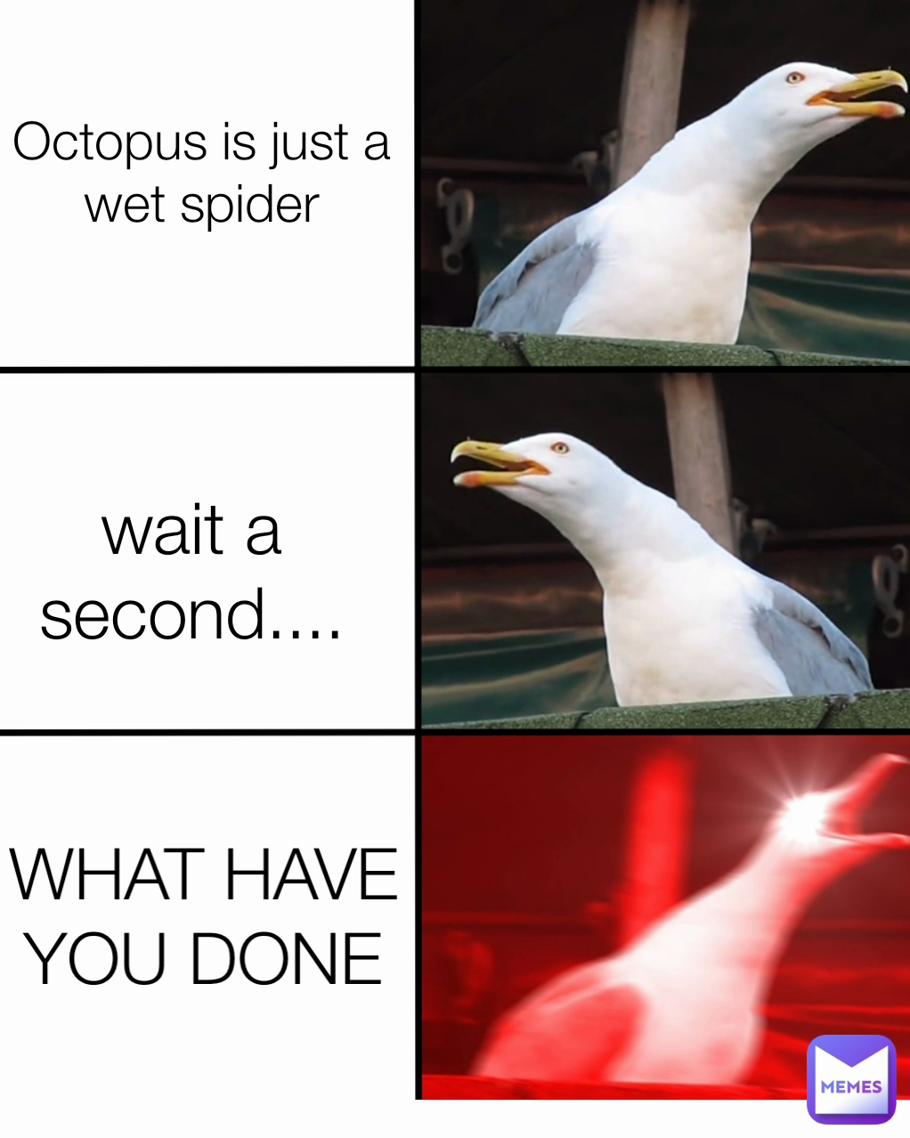 Octopus is just a wet spider wait a second.... WHAT HAVE YOU DONE