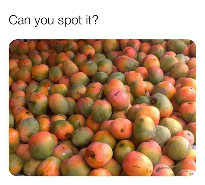 Meme preview