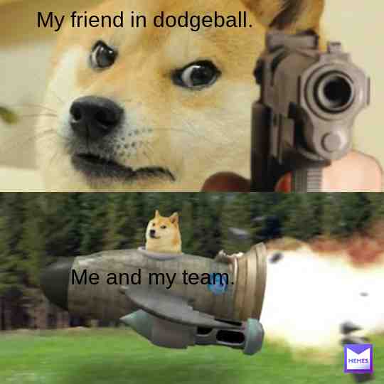 Meme shared by @DogeMan69DOGE