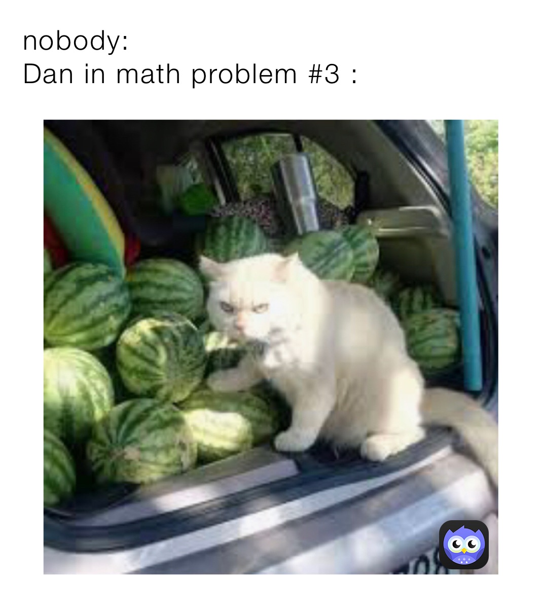 nobody:
Dan in math problem #3 :