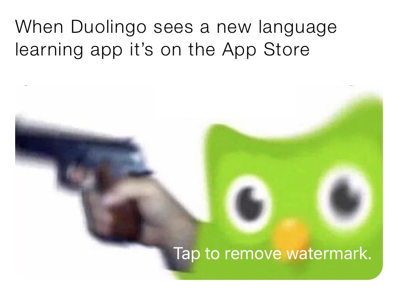 When Duolingo sees a new language learning app it’s on the App Store￼￼￼￼