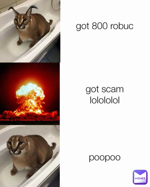 got 800 robuc
 poopoo got scam
lolololol