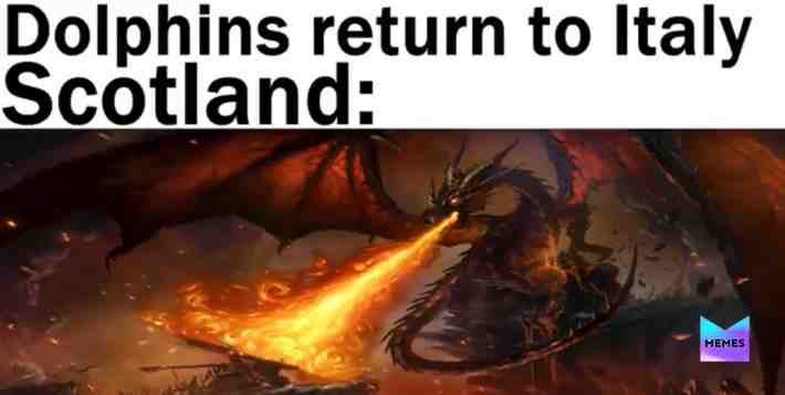 Meme preview