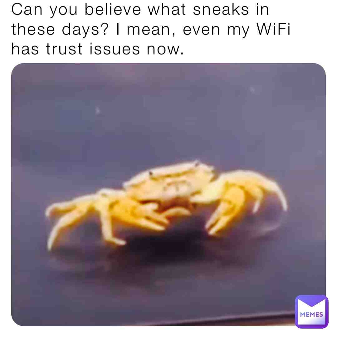 Meme shared by @frogs123441