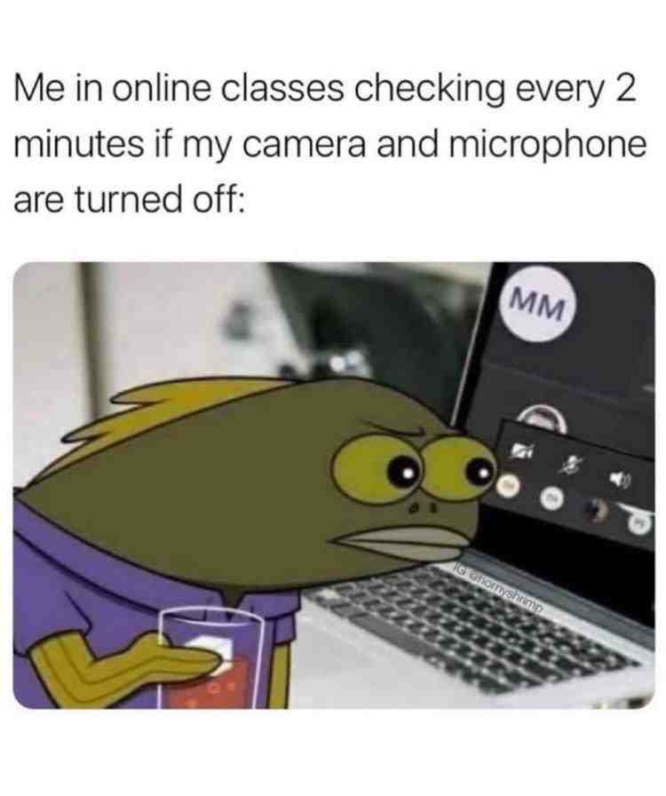 Meme preview