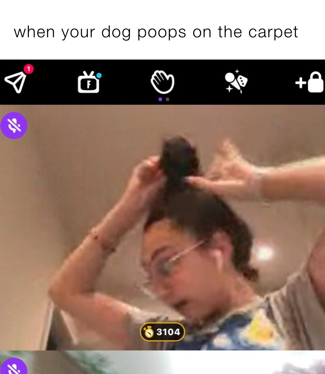 when your dog poops on the carpet