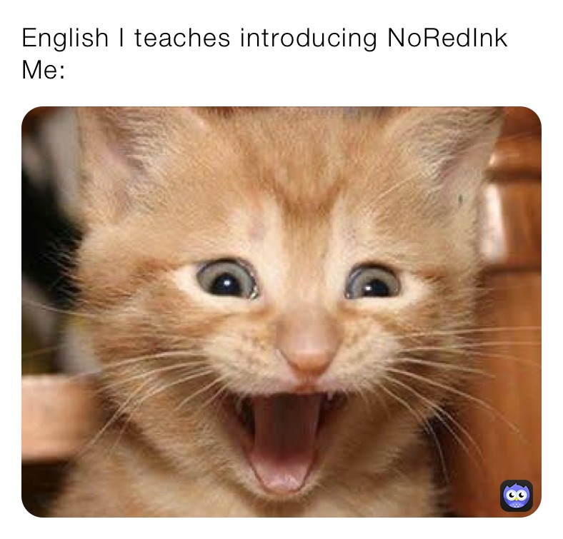 English I teaches introducing NoRedInk
Me: