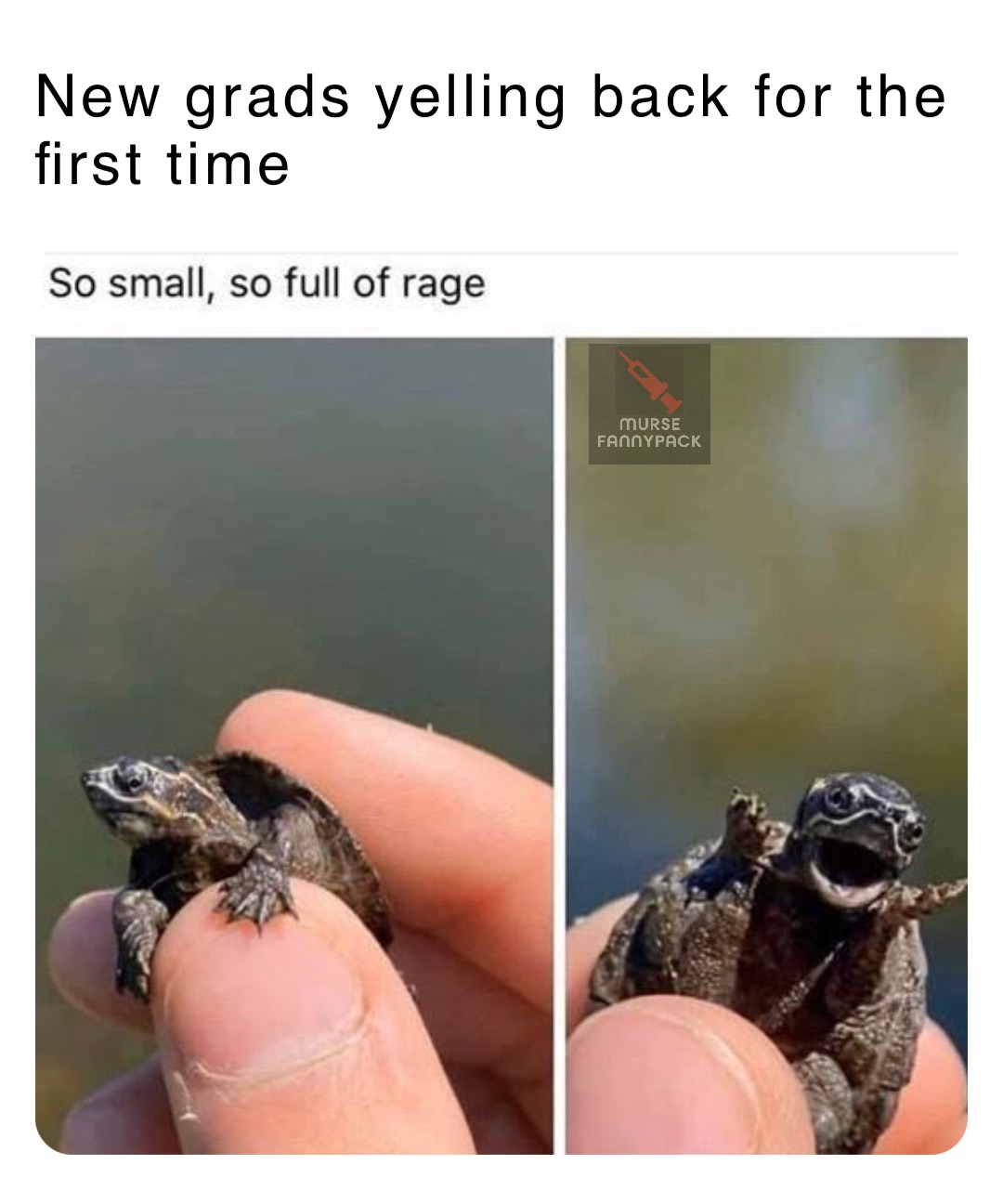 New grads yelling back for the first time