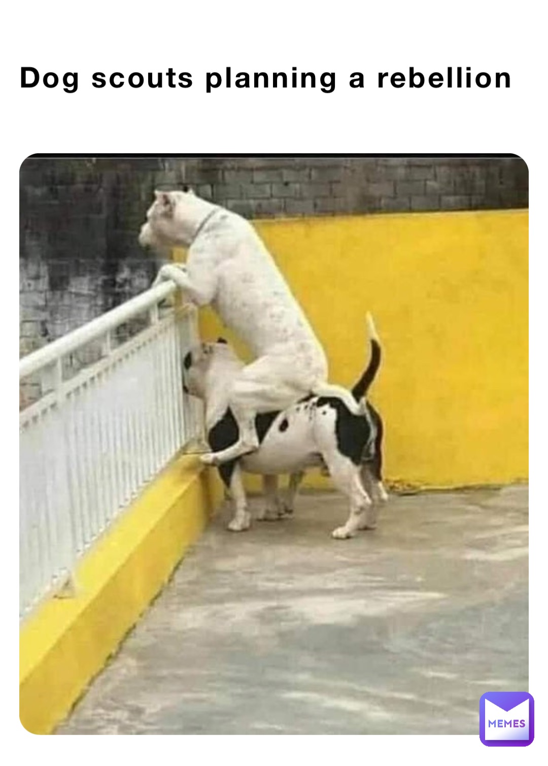 Meme by Cheese_Memer