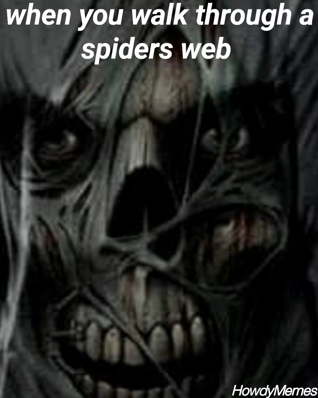 HowdyMemes  when you walk through a spiders web 