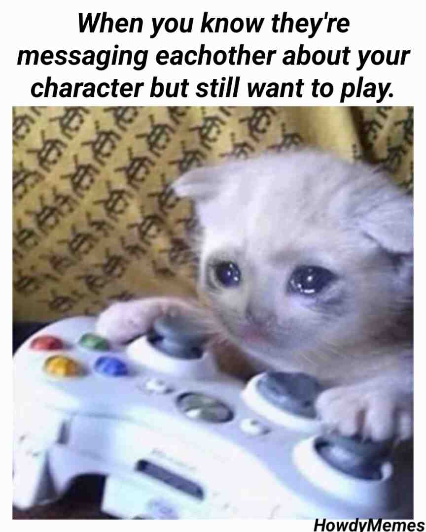 Meme shared by @HowdyMemes