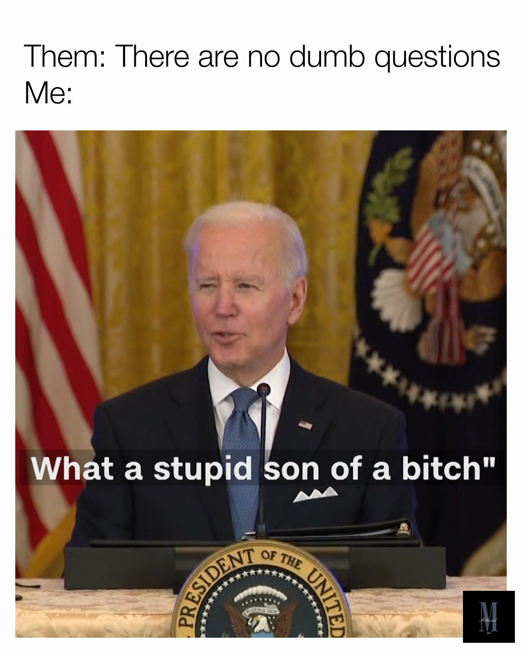 Them: There are no dumb questions 
Me: