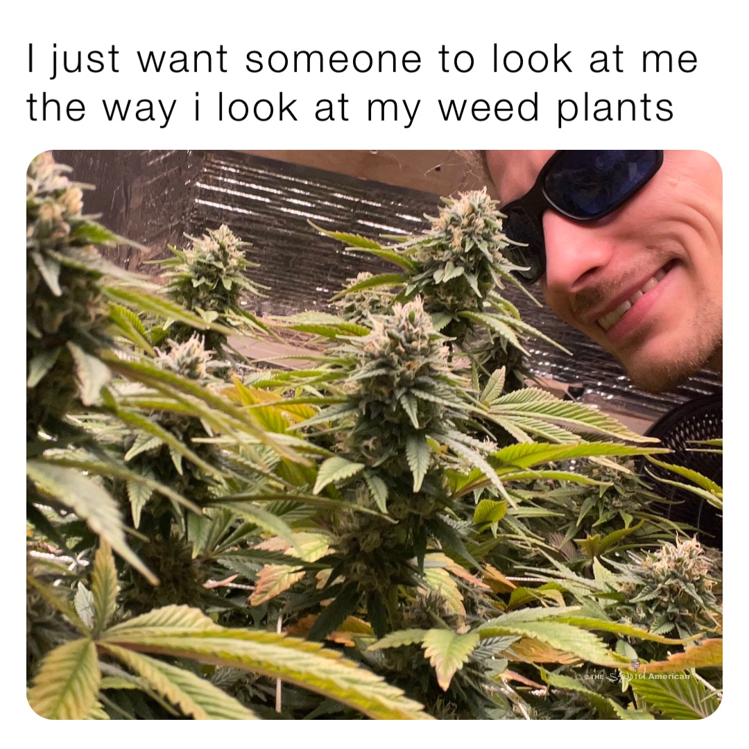 I just want someone to look at me the way i look at my weed plants