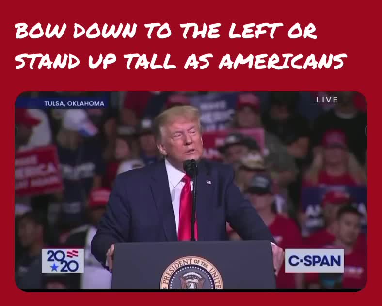 Now Down To The Left Or Stand Up Tall As Americans  ​ #trump  #trumprally  #america  #memes