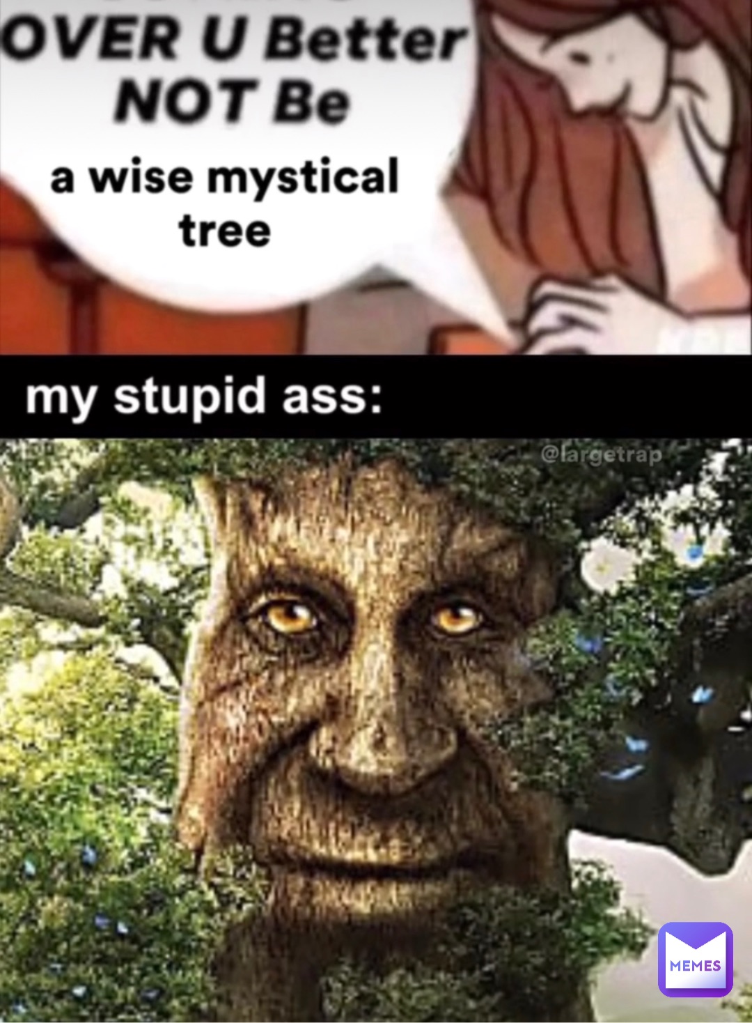 Wise Mystical Tree Meme - Playground