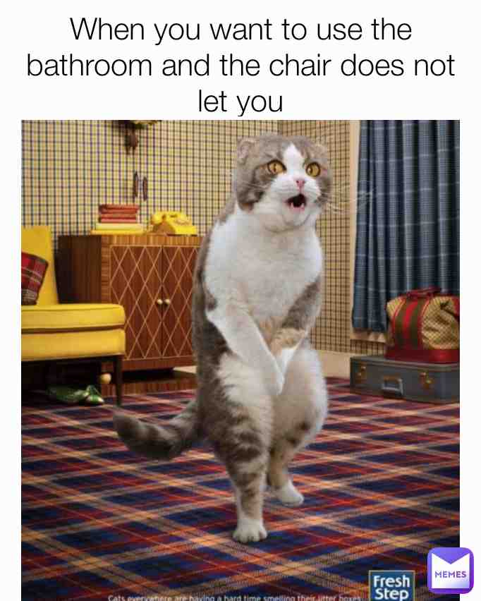 Meme shared by @Sunflowersz