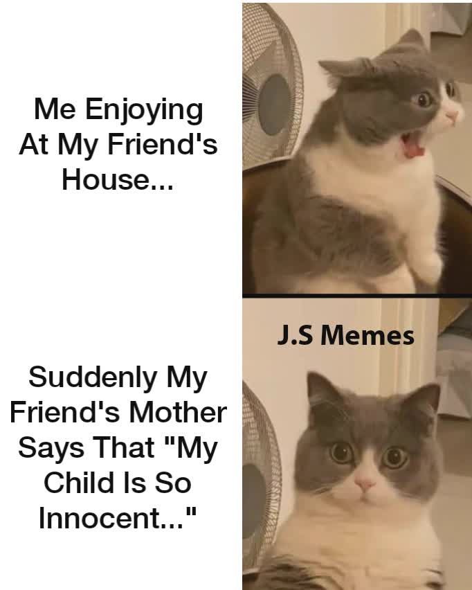 Me Enjoying At My Friend's House... Suddenly My Friend's Mother Says That "My Child Is So Innocent..." J.S Memes