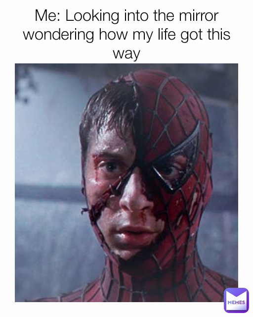 Me: Looking into the mirror wondering how my life got this way